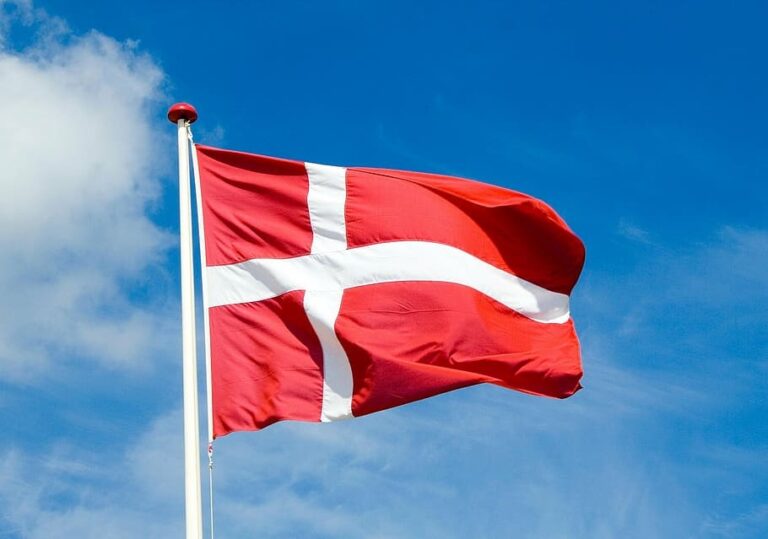 8 Danish universities that offer scholarships to international students