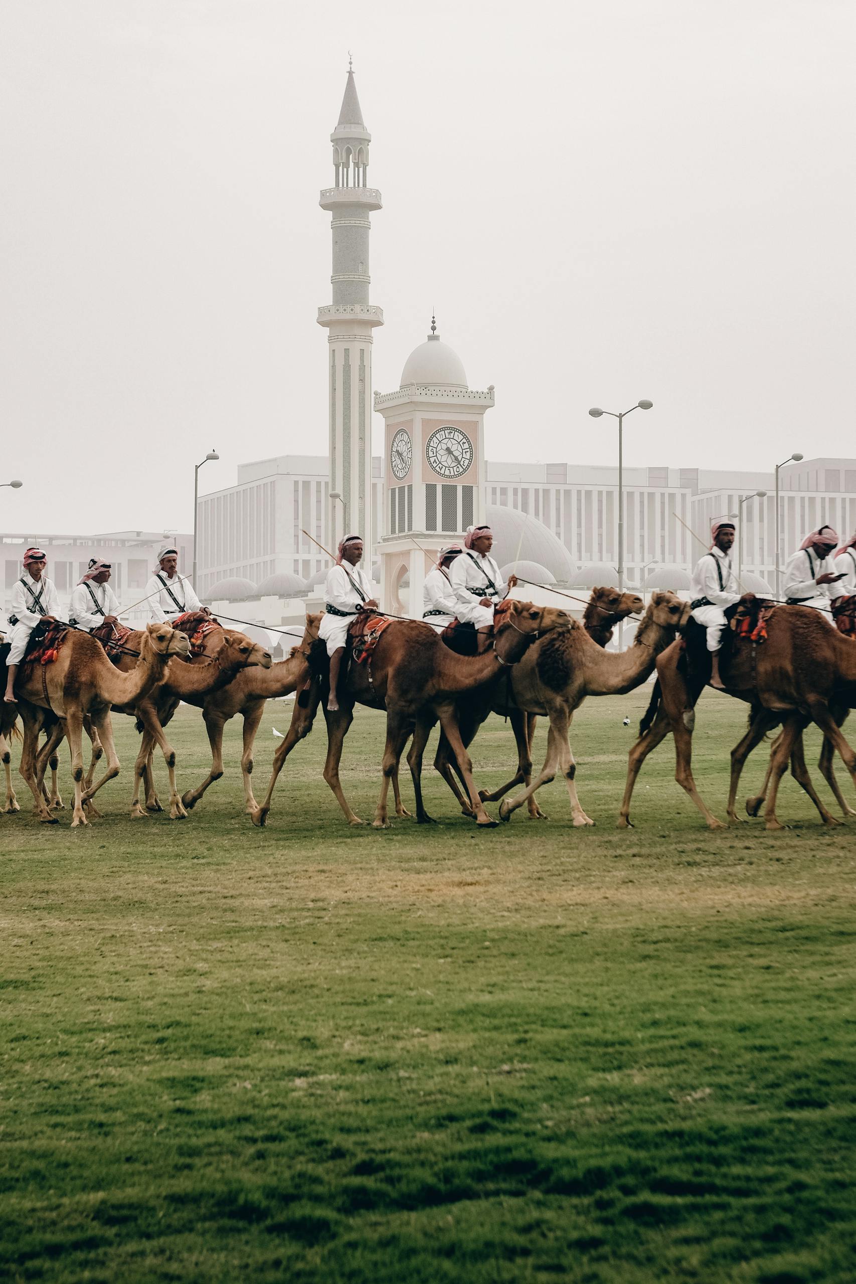 Group of riders on camels parading in front of a mosque in Doha, Qatar.