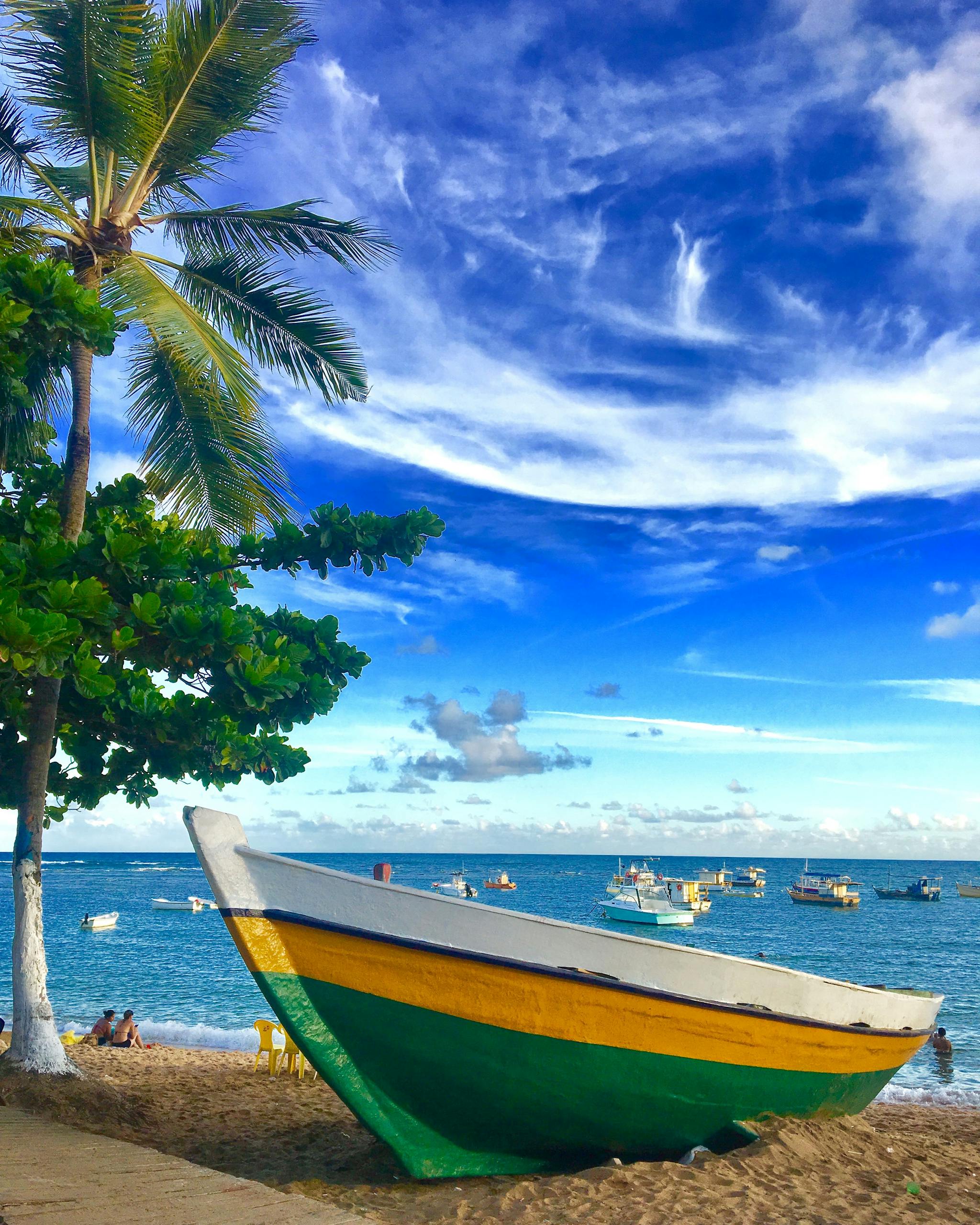 Holiday in Brazil. Vibrant tropical beach with a boat, palm trees, and fishing boats in Brazil's Praia do Forte.