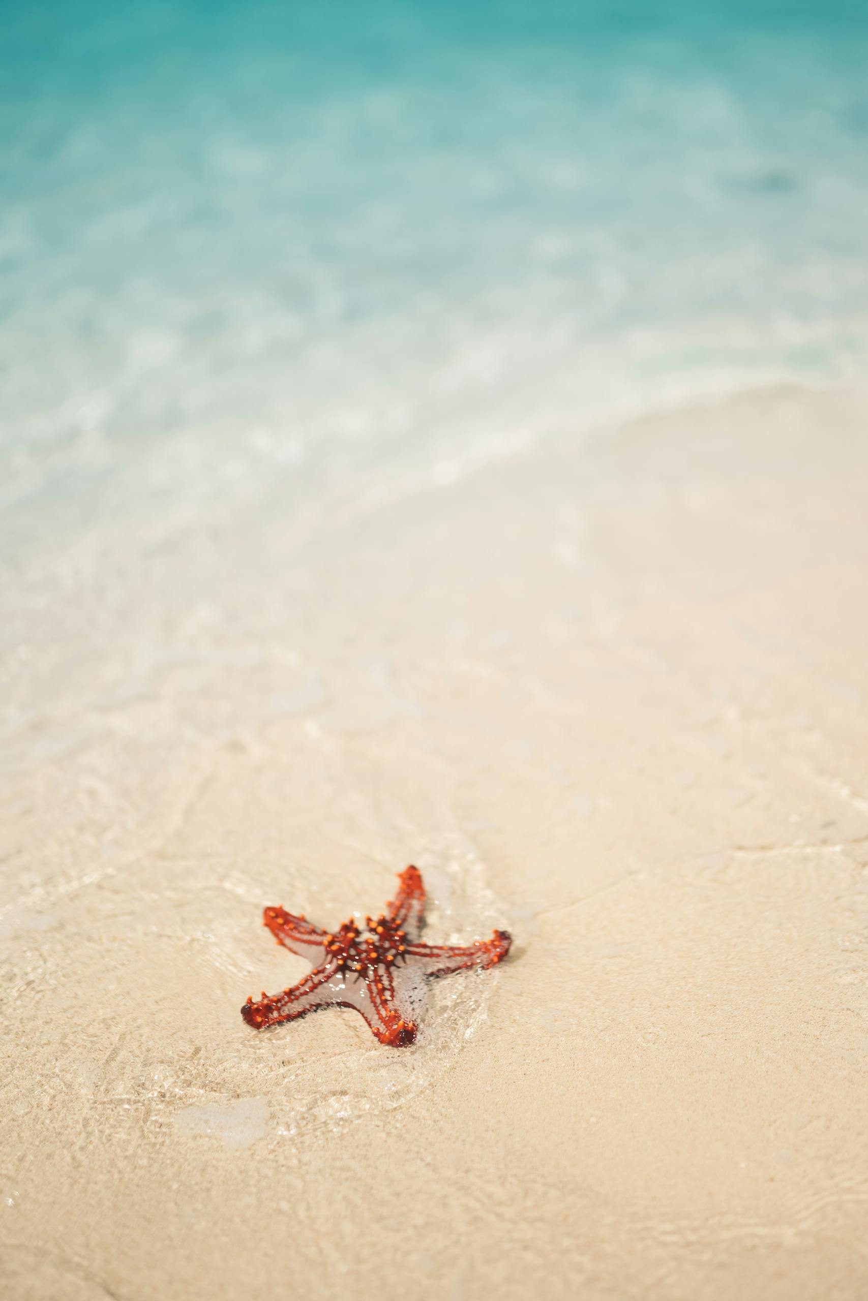 Bet Summer Spots for every budget